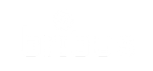 Bribus